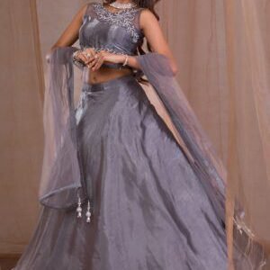 Ornate Beaded Tissue Lehenga - Ready to Wear